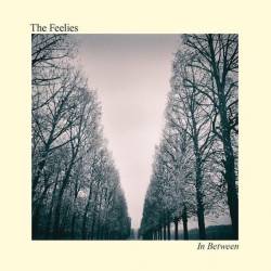 The Feelies : In Between
